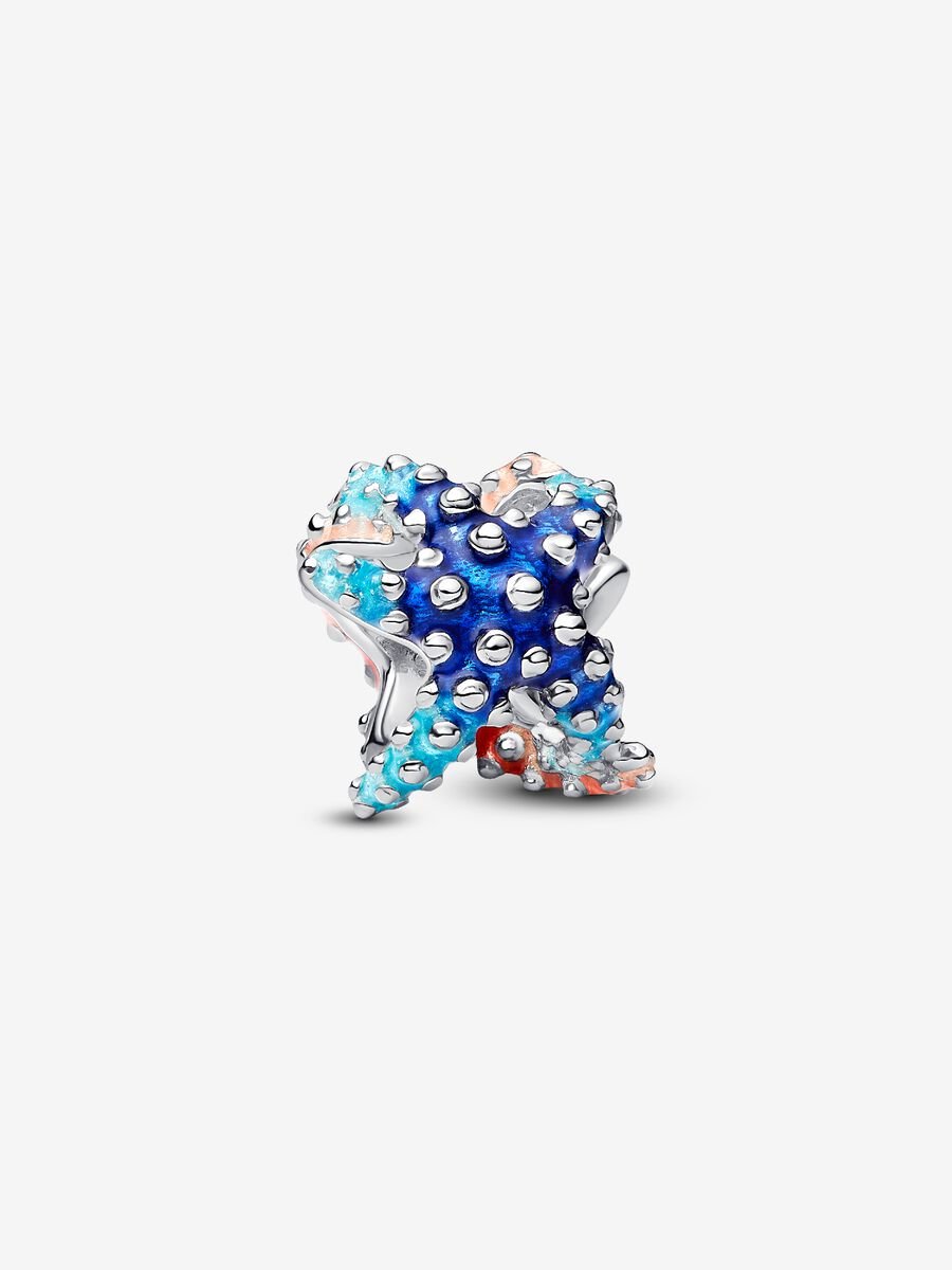 Charm Mini Estrella de Mar Colorida