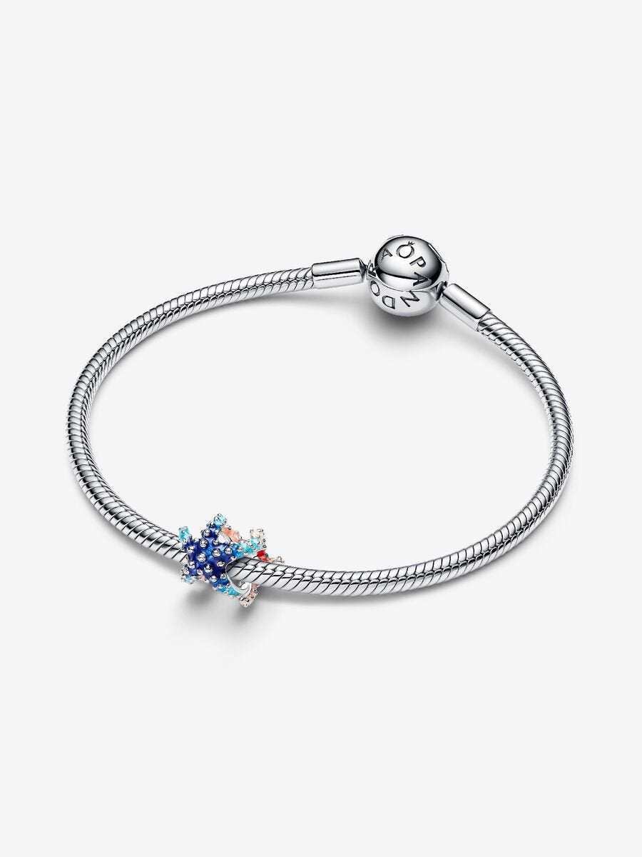Charm Mini Estrella de Mar Colorida