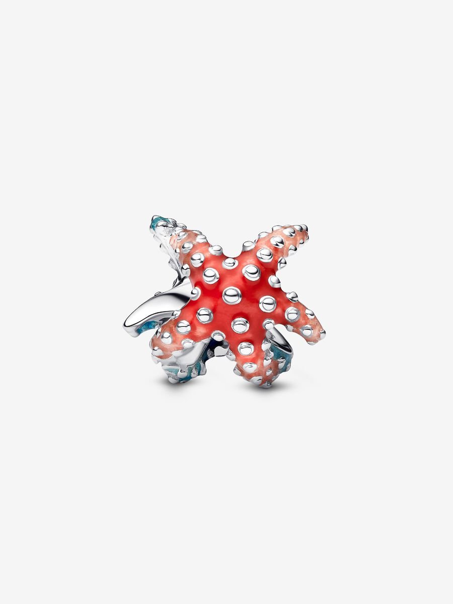 Charm Mini Estrella de Mar Colorida