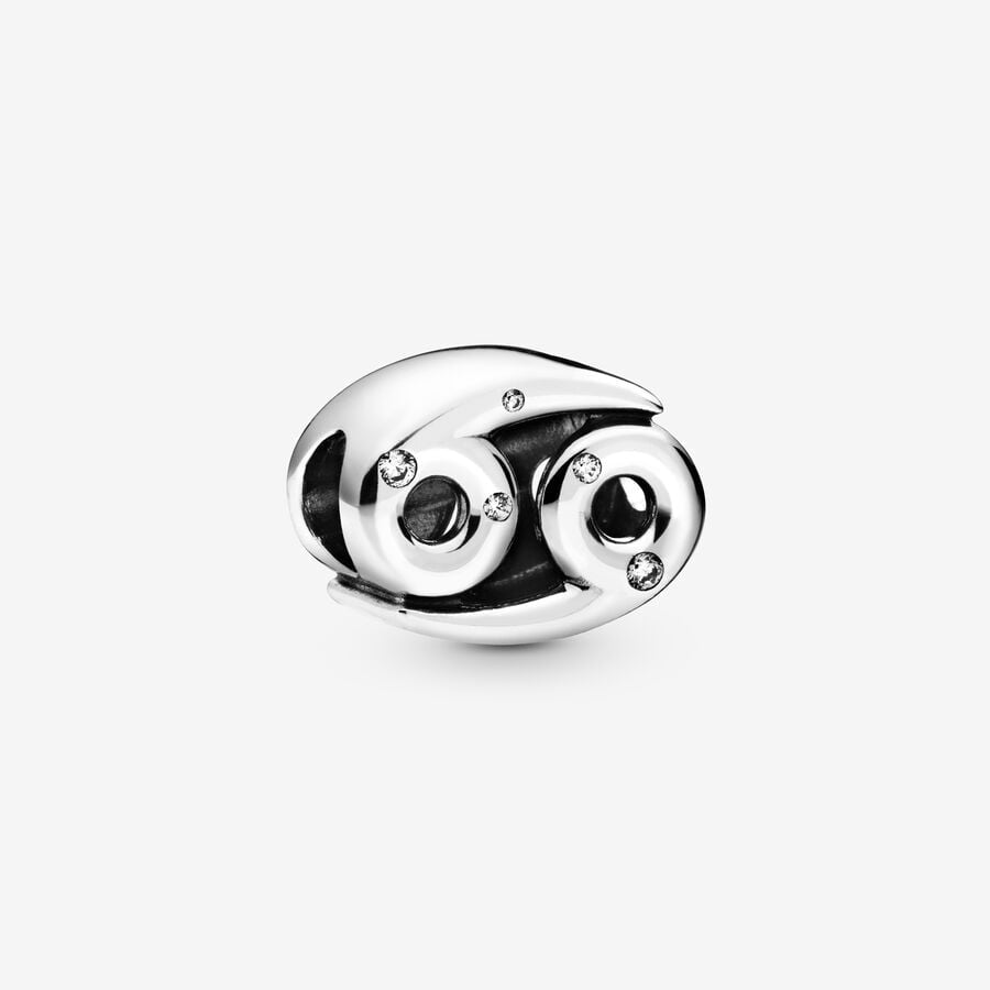 Charms Signos Zodiacales