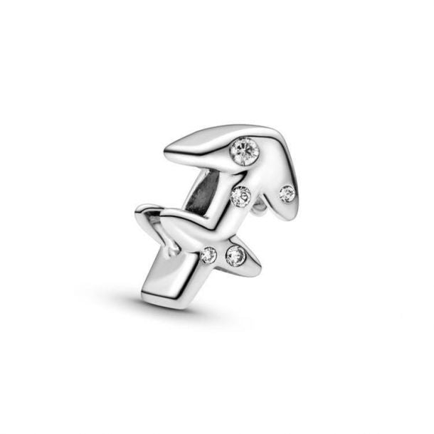 Charms Signos Zodiacales