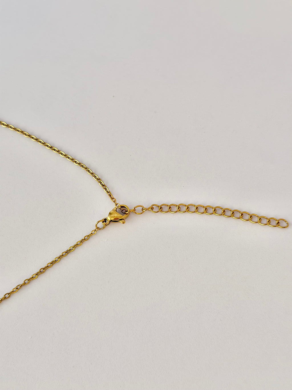 Collar Relicario, Porta foto y Grabable, Acero inoxidable