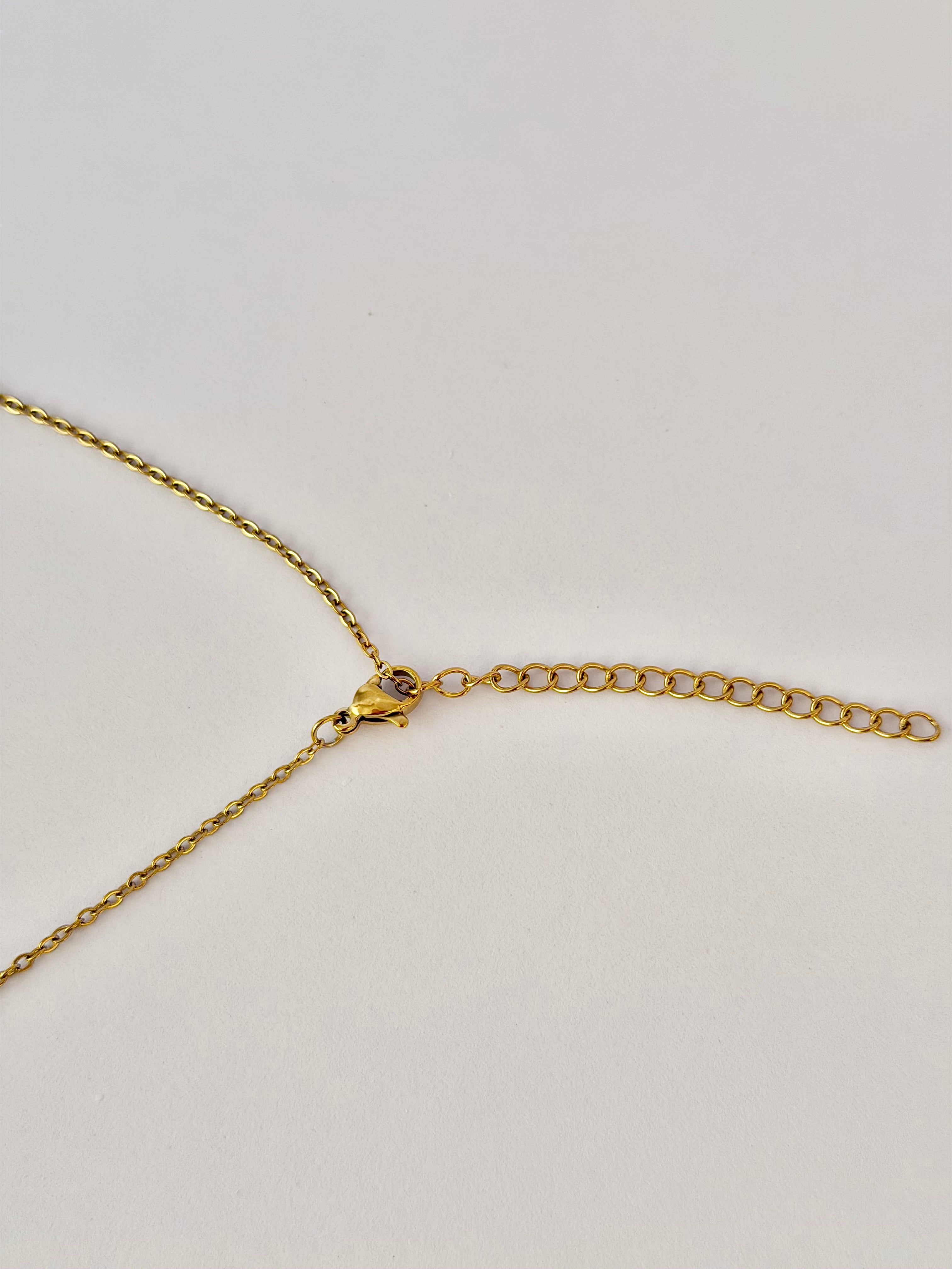 Collar Relicario, Porta foto y Grabable, Acero inoxidable