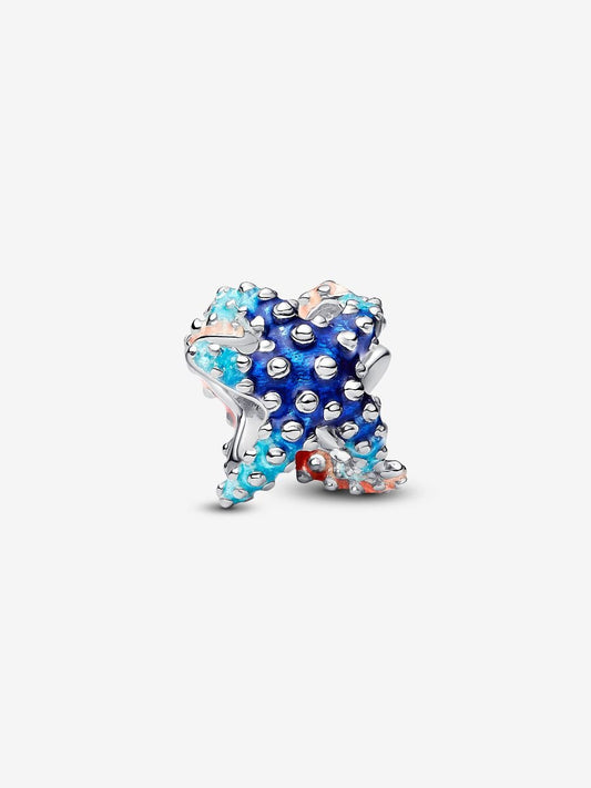 Charm Mini Estrella de Mar Colorida